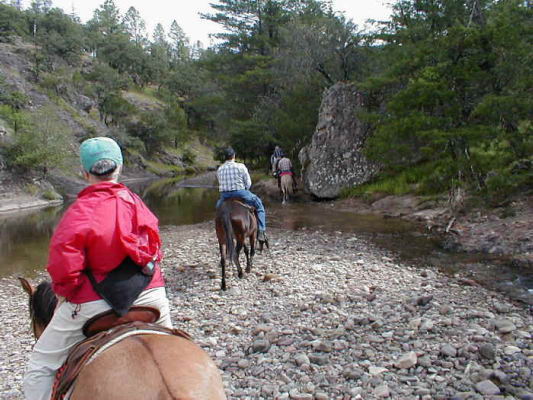 rutas a caballo asturias,rutas a caballo en asturias picos de europa.hipico,hipica